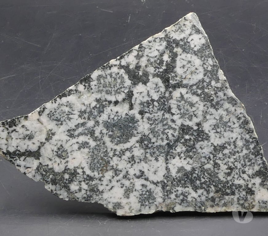Collection Meurthe-et-Moselle Bertrichamps - 54120 - Photos Vivastreet Diorite orbiculaire (Corsite , Napoléonite)