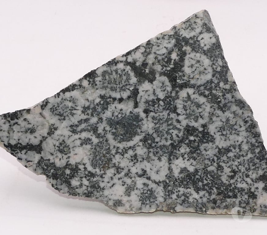Collection Meurthe-et-Moselle Bertrichamps - 54120 - Photos Vivastreet Diorite orbiculaire (Corsite , Napoléonite)