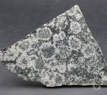 Photos Vivastreet Diorite orbiculaire (Corsite , Napoléonite)