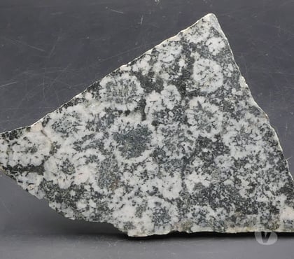 Collections Bertrichamps Meurthe-et-Moselle - Photos Vivastreet Diorite orbiculaire (Corsite , Napoléonite)