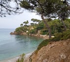 Le Pradet - Var — loue T3 de 74m2 au Pradet prox transports, commerces plage