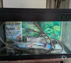 Uzos - Pyrénées-Atlantiques — Aquarium 130 L +accessoires