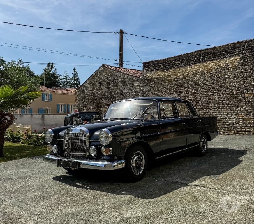 Voiture de collection Charente-Maritime La Rochelle - 17000 - Photos Vivastreet Mercedes 230 Heckflosse 1967 - 6 Cylindres - CG Collection