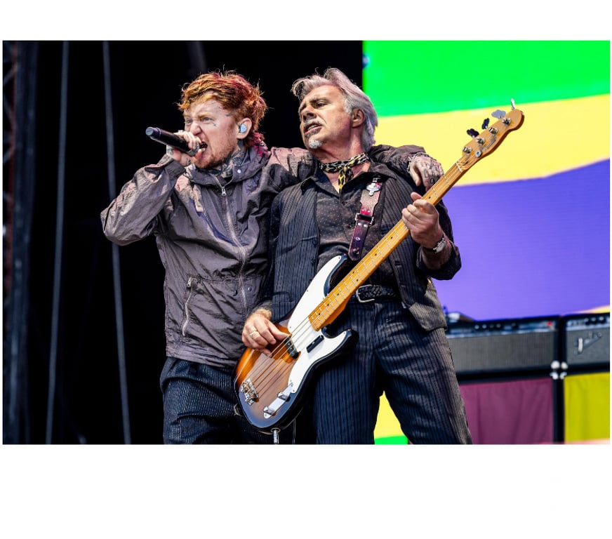Spectacles Aude Carcassonne - Photos Vivastreet 4 billets pour Sex Pistols & The Wampas mardi 28 juillet