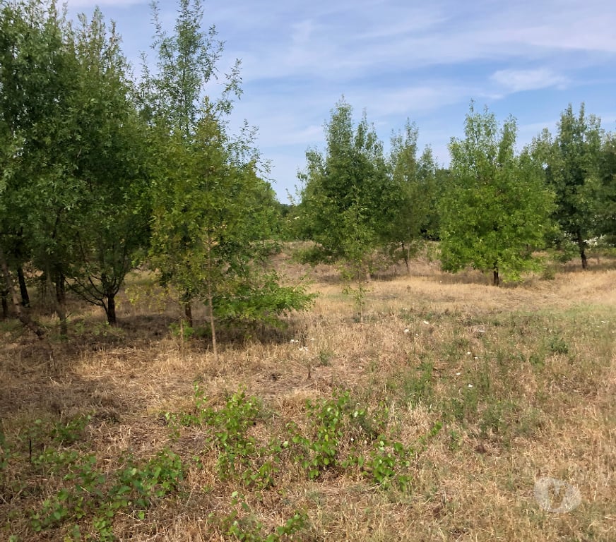 Terrain à vendre Gard Ners - 30360 - Photos Vivastreet Terrain plat constructible de 1 438 m² Proche Vézénobres