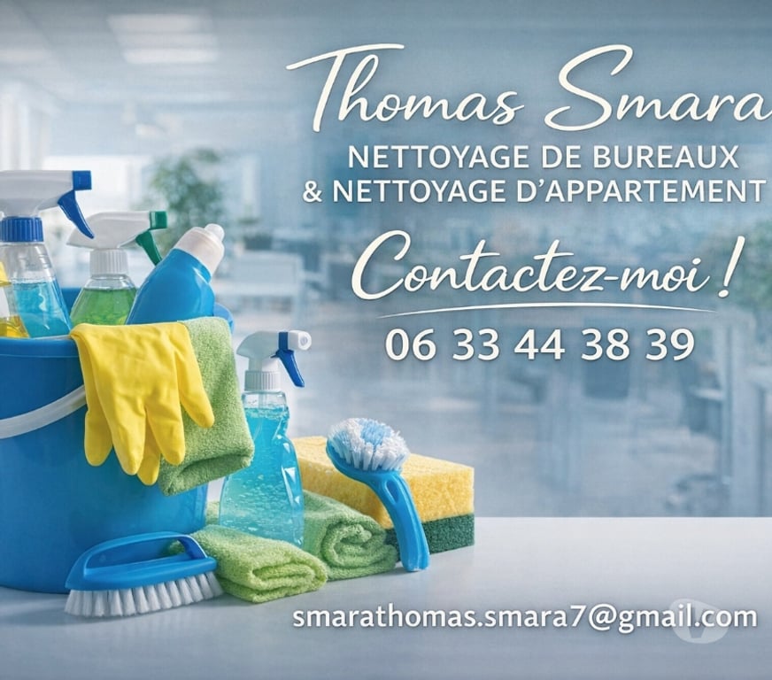 Services ménagers Rhône Lyon - Photos Vivastreet Auto entrepreneur dans le nettoyage
