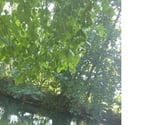 Giverny - Eure — BESOIN D'UN PEU D'AIDE AU QUOTIDIEN ?