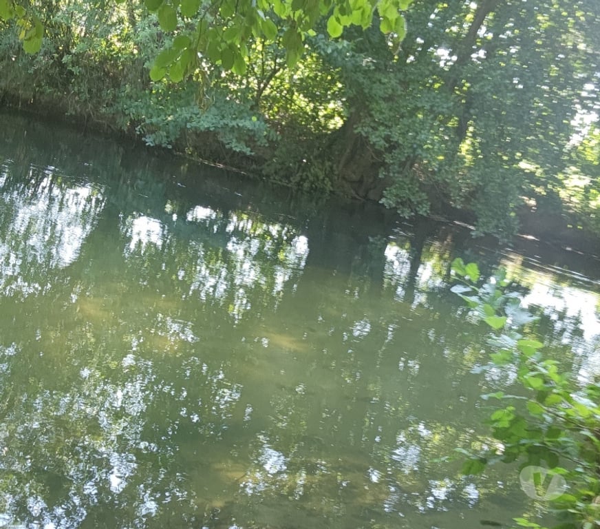 Service immobilier Yvelines Bonnieres sur Seine - 78270 - Photos Vivastreet 🌷 BESOIN D’UN PEU D’AIDE AU QUOTIDIEN ?