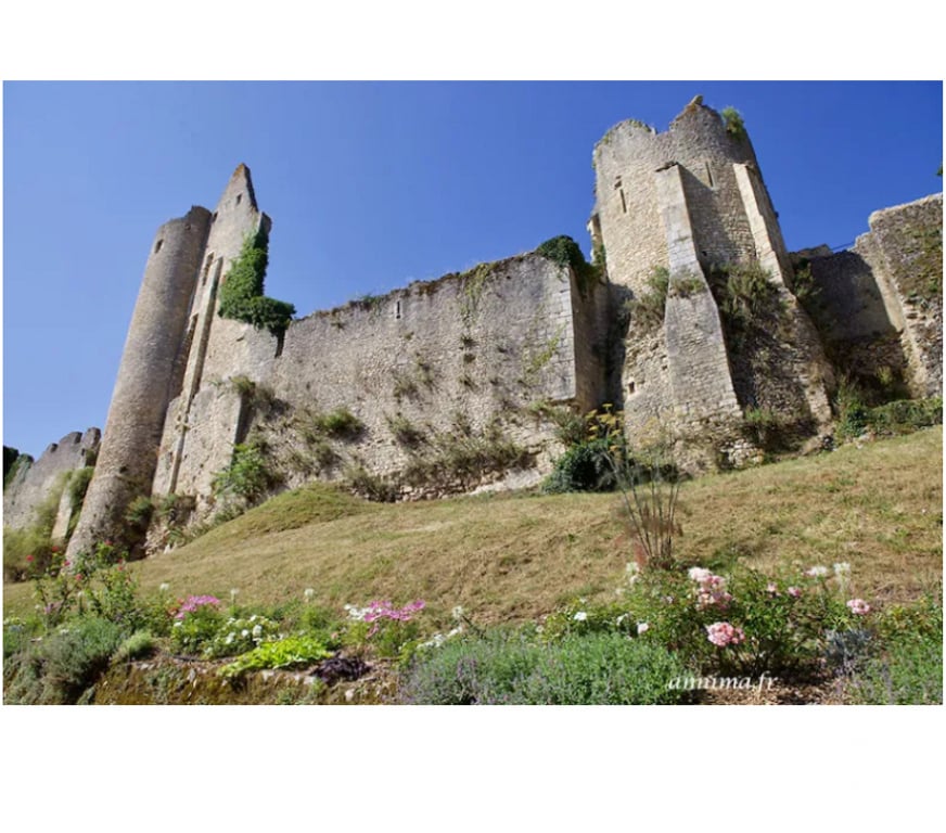 Spectacles Vienne Angles sur l'Anglin - 86260 - Photos Vivastreet Place adulte enfant Roc aux Sorciers + Forteresse d’Angles