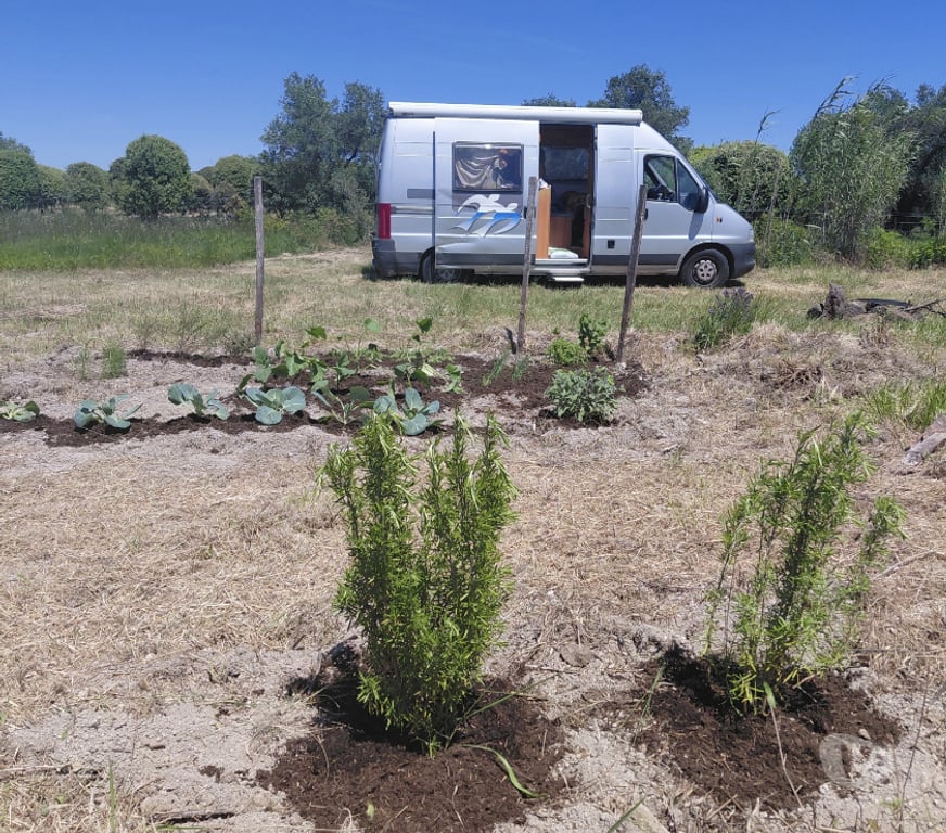 Terrain à vendre Gard St Hilaire d'Ozilhan - 30210 - Photos Vivastreet Plantation chênes Truffiers , forage , compteur eaux
