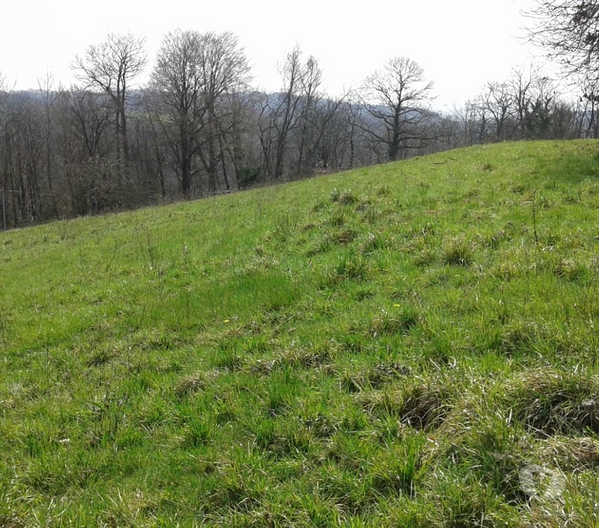 Terrain à vendre Lot Ste Colombe - 46120 - Photos Vivastreet Terrain 4300m² dont 1500 constructible - PC validé