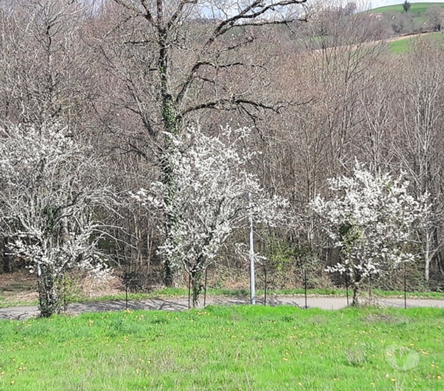 Terrain à vendre Lot Ste Colombe - 46120 - Photos Vivastreet Terrain 4300m² dont 1500 constructible - PC validé