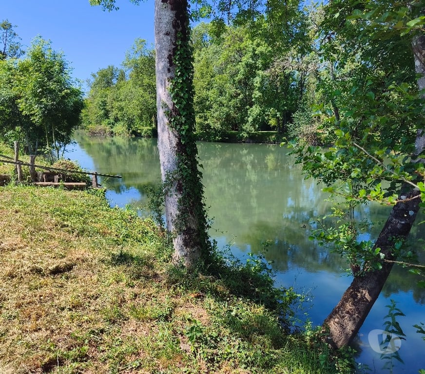 location saisonniere Vienne Iteuil - 86240 - Photos Vivastreet Terrain de loisirs coup de pêche promenade vélo rando etc