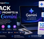 Bordeaux - Bordeaux — ProjectFlow – Pack 100 Prompts IA pour Gemini-17€