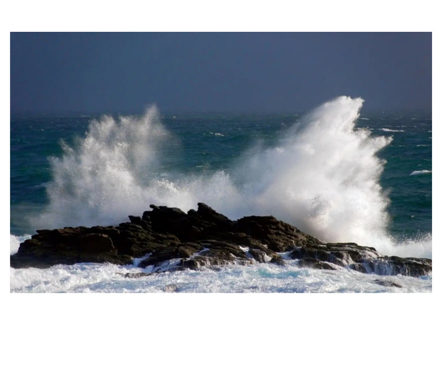 Livres occasion Morbihan Lorient - 56100 - Photos Vivastreet 1 exemplaire du Petit Futé Morbihan 2026 - 2027 (100% NEUF)