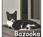 Lyon - Lyon — BAZOOKA, chat joueur