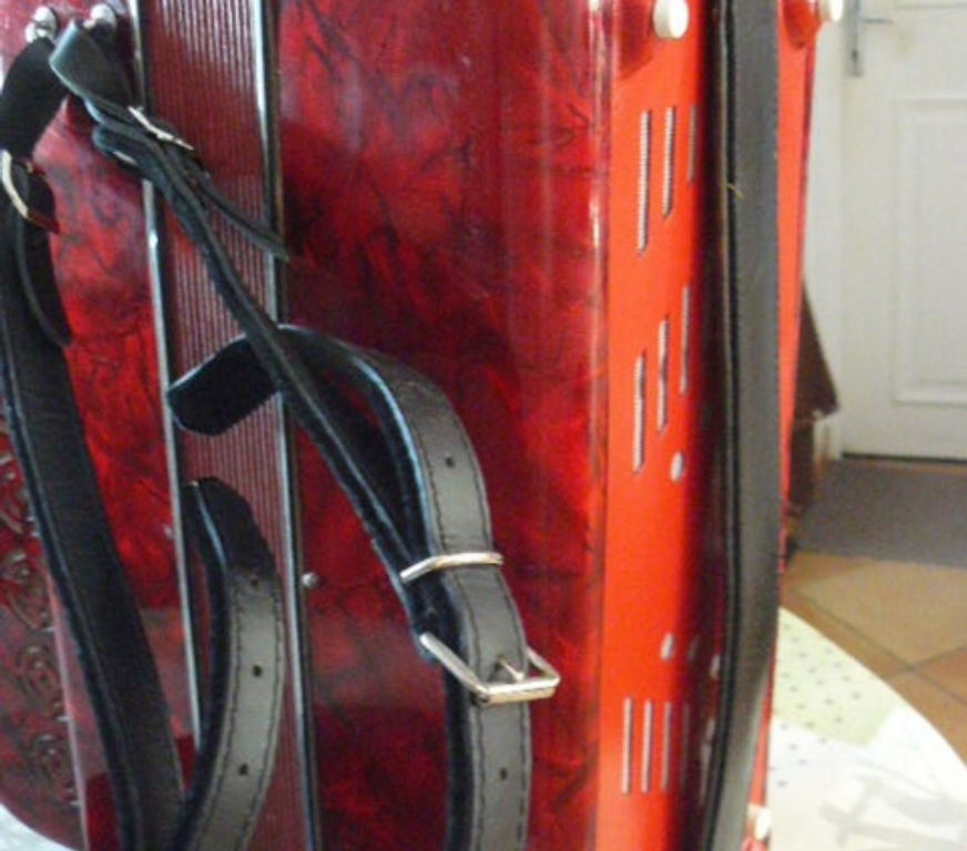Instruments de musique Charente Breville - 16370 - Photos Vivastreet a vendre accordéon Paolo Soprani