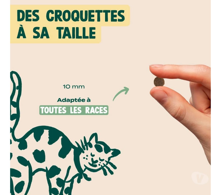 Services, accessoires animaux Seine-Maritime St Aubin les Elbeuf - 76410 - Photos Vivastreet Croquettes FRANKLIN pour Chat stérilisé.