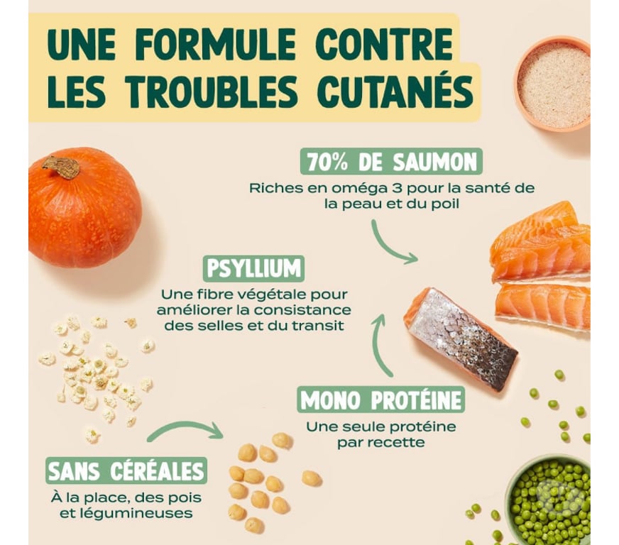Services, accessoires animaux Seine-Maritime St Aubin les Elbeuf - 76410 - Photos Vivastreet Croquettes FRANKLIN pour Chat stérilisé.