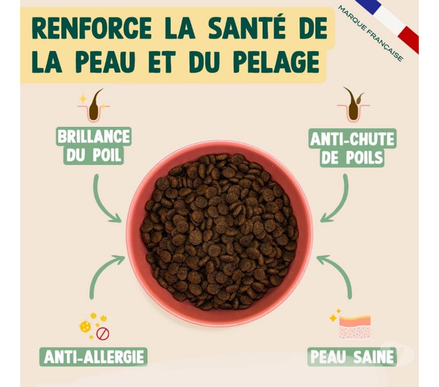 Services, accessoires animaux Seine-Maritime St Aubin les Elbeuf - 76410 - Photos Vivastreet Croquettes FRANKLIN pour Chat stérilisé.