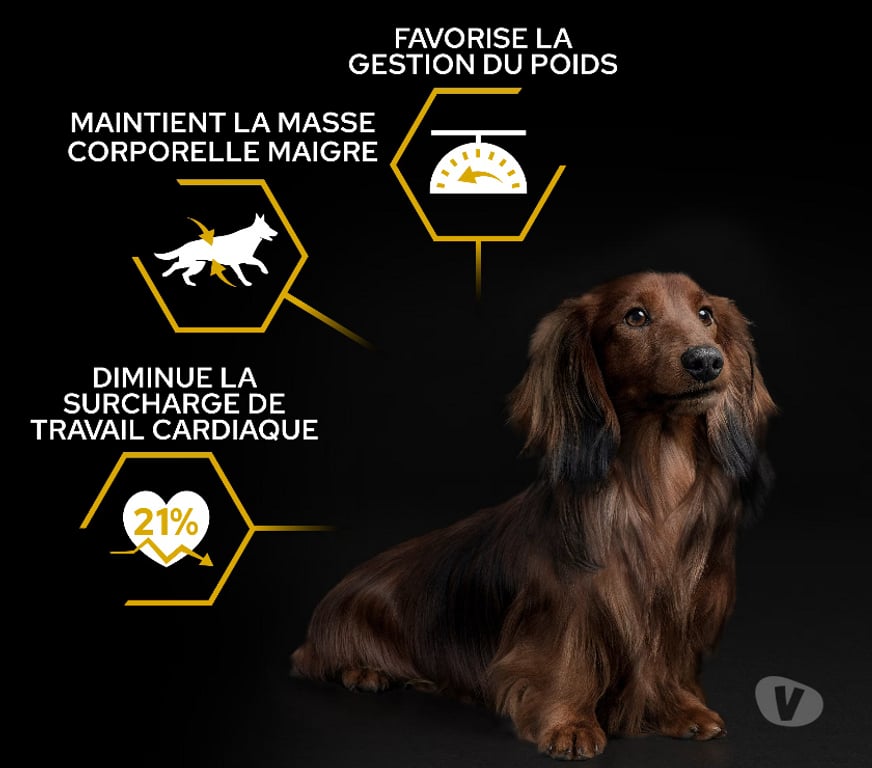 Services, accessoires animaux Seine-Maritime St Aubin les Elbeuf - 76410 - Photos Vivastreet PURINA PRO PLAN SMALL & MINI ADULT LIGHT STERILISED.