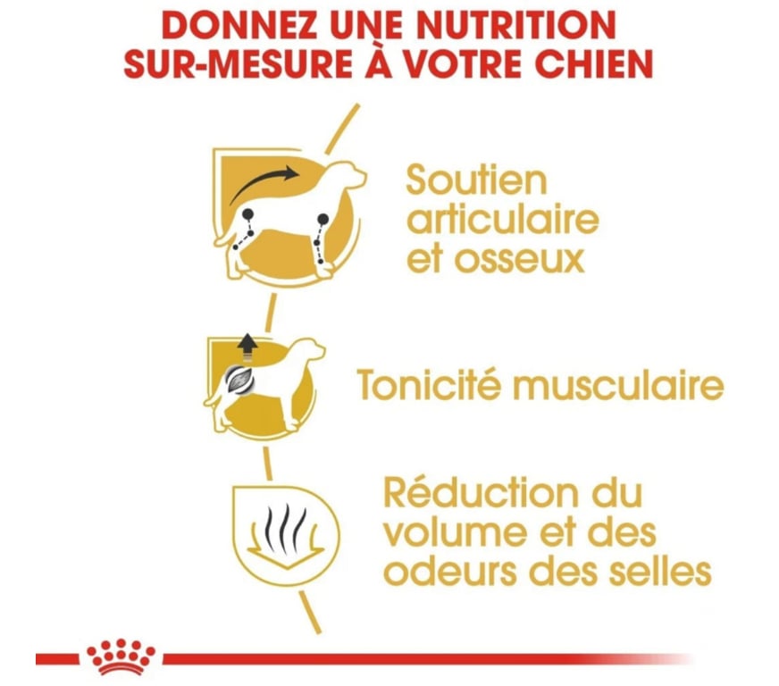 Services, accessoires animaux Seine-Maritime St Aubin les Elbeuf - 76410 - Photos Vivastreet Sacs de croquettes ROYAL CANIN pour Teckels adultes.