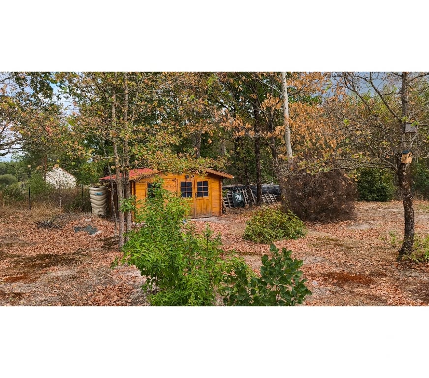 Vente Maison Loir-et-Cher Pruniers en Sologne - 41200 - Photos Vivastreet Vends jolie maison au cœur de la Sologne