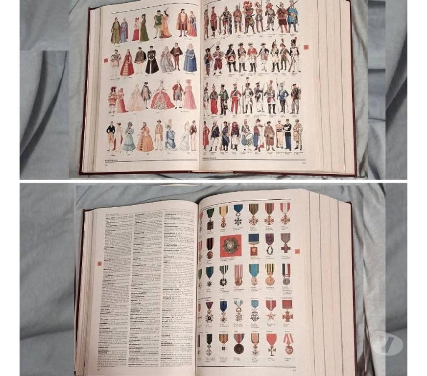 Livres occasion Gard Nimes - Photos Vivastreet Gros dico Larousse 1850pages, 4kg