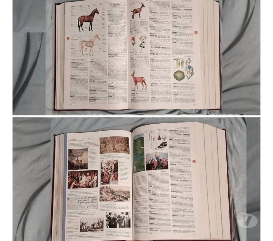 Livres occasion Gard Nimes - Photos Vivastreet Gros dico Larousse 1850pages, 4kg