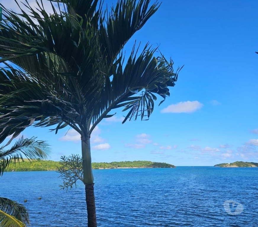 location saisonniere Martinique Le François - 97240 - Photos Vivastreet Maison de vacances à louer en Martinique