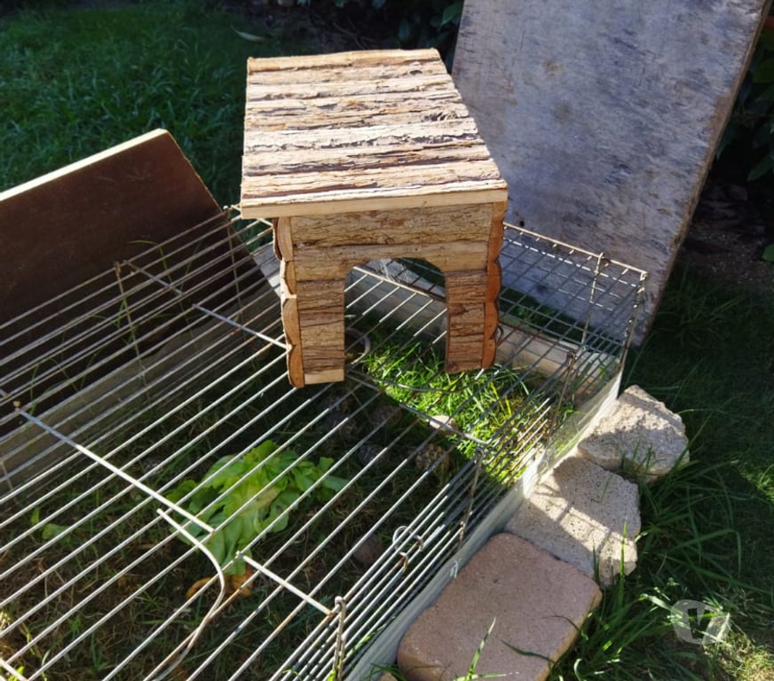 Services, accessoires animaux Gard Beauvoisin - 30640 - Photos Vivastreet abris bebe tortues