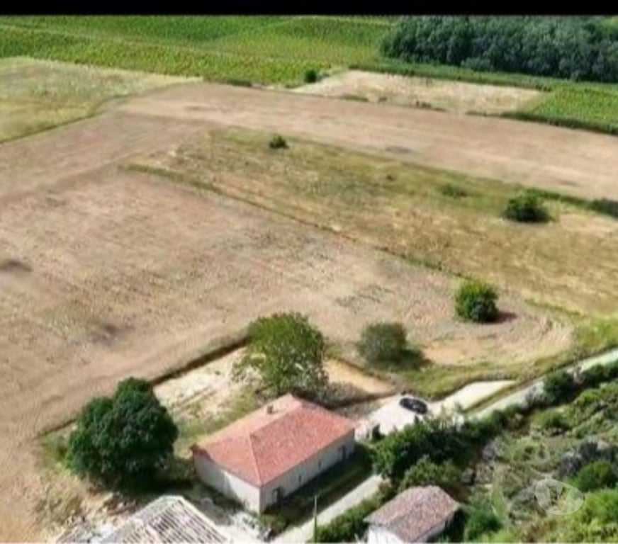 Vente Maison Gironde Targon - 33760 - Photos Vivastreet Chai en pierre 320m² à rénover, 1ha, vue - Targon Gironde