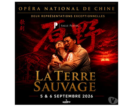 Billets spectacles Paris 13ème ardt Paris - Photos Vivastreet 2 billets 