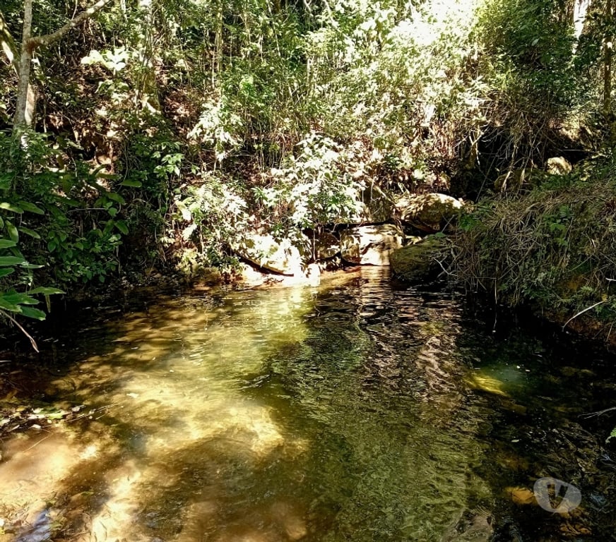 Vente Terres Agricoles Pyrénées-Atlantiques Lons - 64140 - Photos Vivastreet Propriété rurale 20 hectares à vendre au Brésil