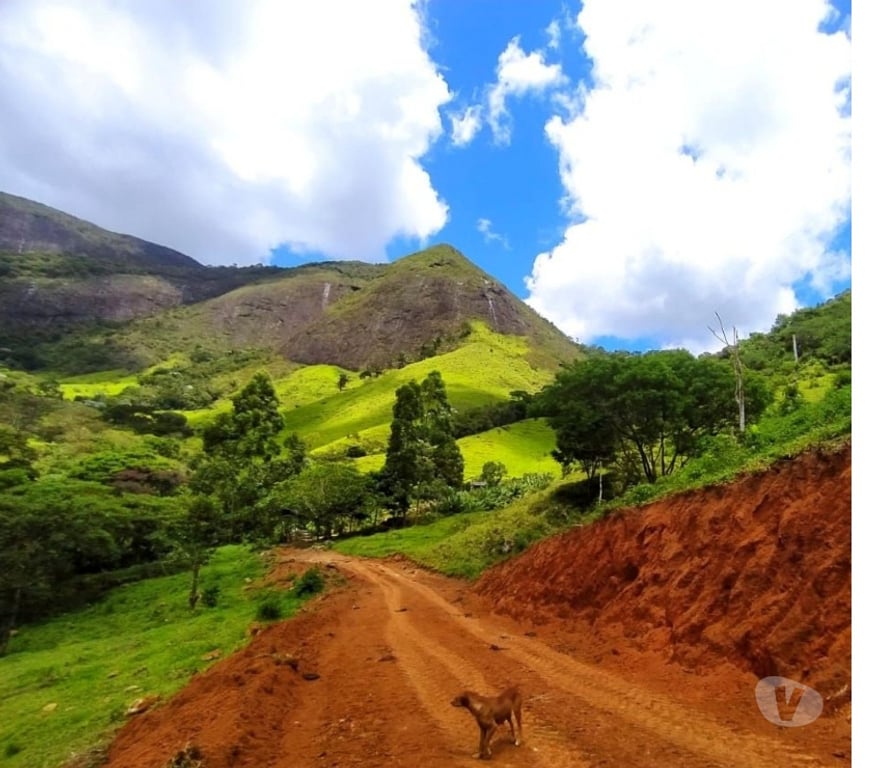 Vente Terres Agricoles Pyrénées-Atlantiques Lons - 64140 - Photos Vivastreet Propriété rurale 20 hectares à vendre au Brésil