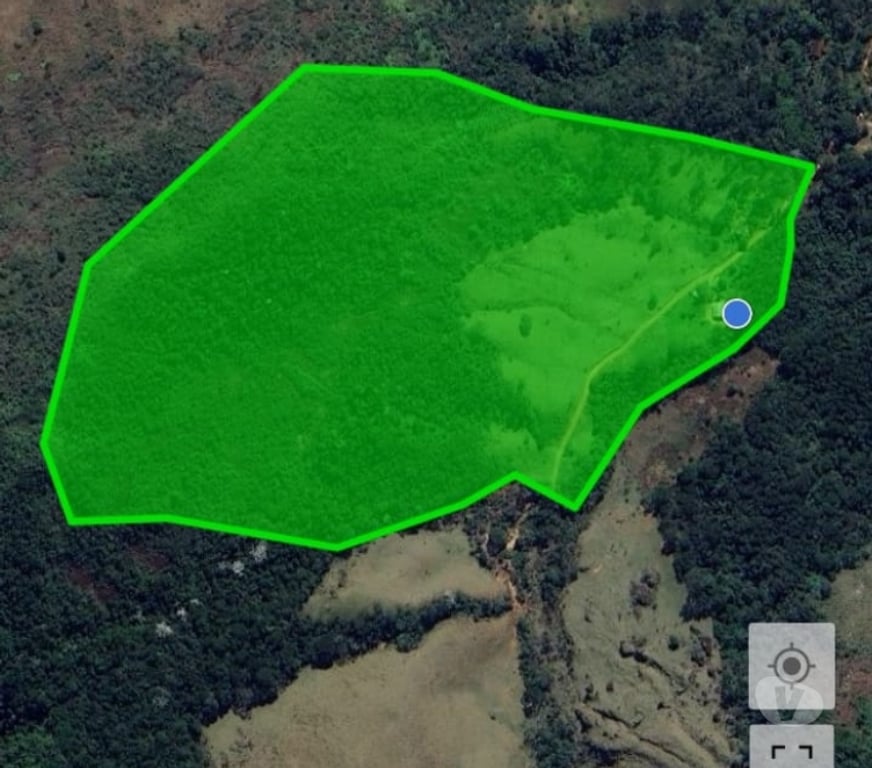 Vente Terres Agricoles Pyrénées-Atlantiques Lons - 64140 - Photos Vivastreet Propriété rurale 20 hectares à vendre au Brésil