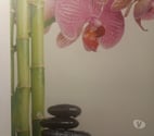 Toulouse - Toulouse — Massage relaxant et sauna japonnais