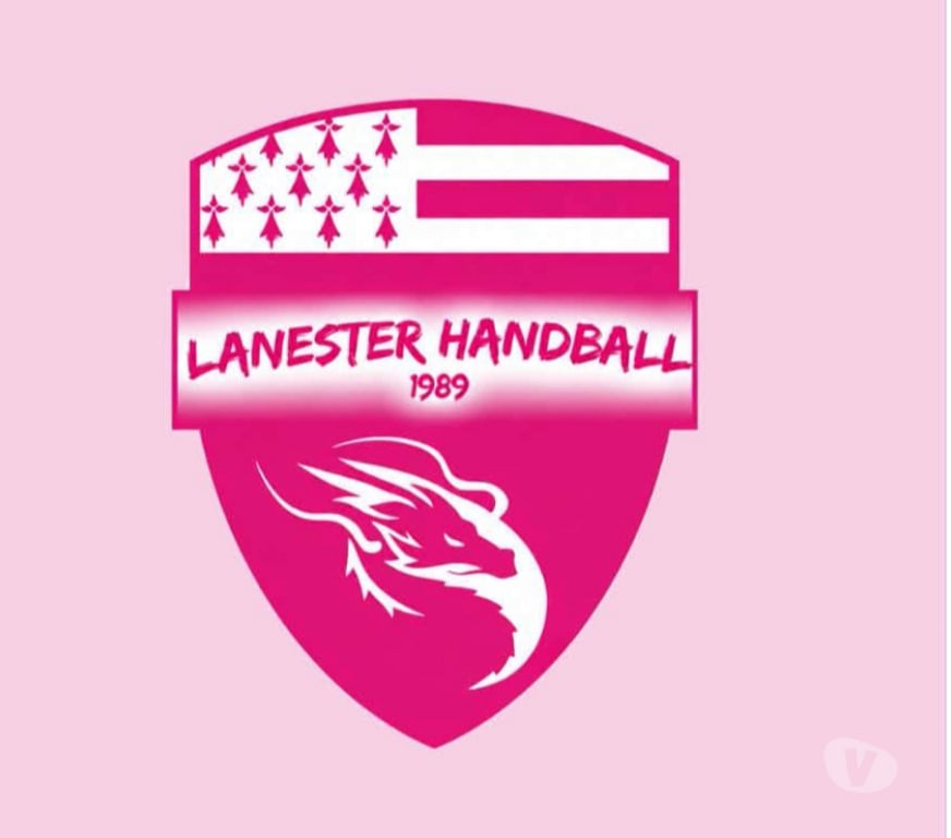 Spectacles Morbihan Lanester - 56600 - Photos Vivastreet 2 places de hand Lanester vs Saint-Cyr ce soir