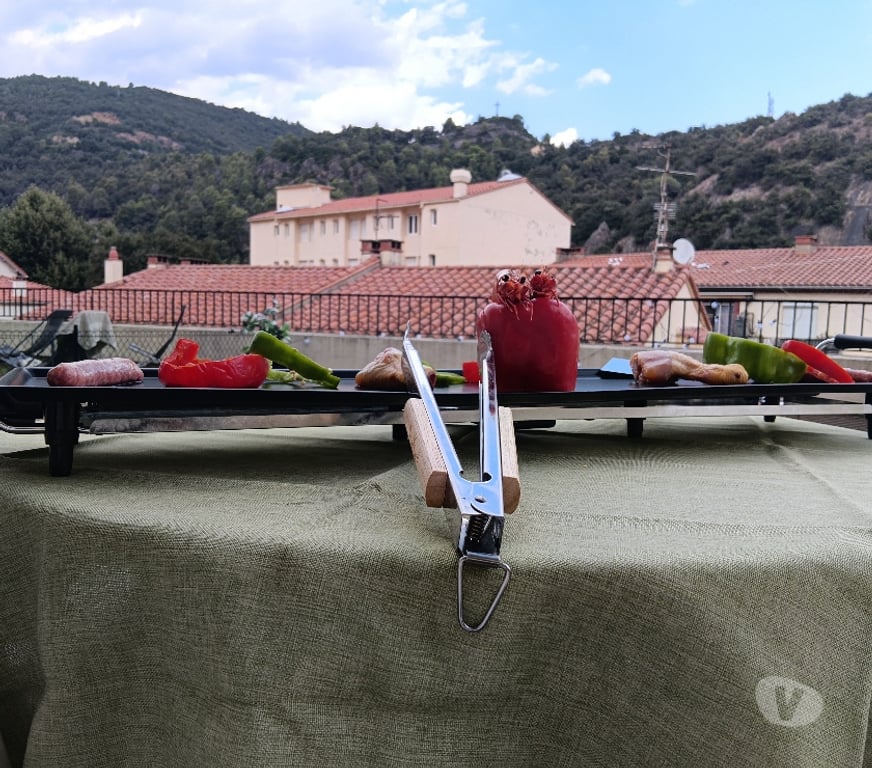 location saisonniere Pyrénées-Orientales Amelie les Bains Palalda - 66110 - Photos Vivastreet Lucky Break Thermes (vivez votre location autrement)