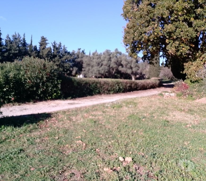 Aides à domicile Var Hyeres - 83400 - Photos Vivastreet couple cherche un gardiennage autour de hyeres