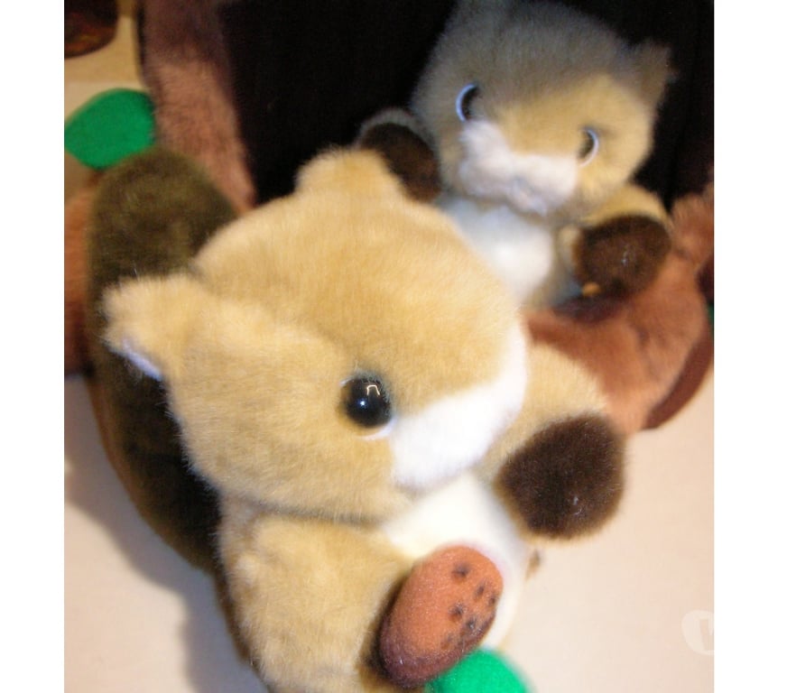 Jeux - Jouets Haute-Garonne Leguevin - 31490 - Photos Vivastreet Peluches Duo Ecureuils et Tronc d'Arbre