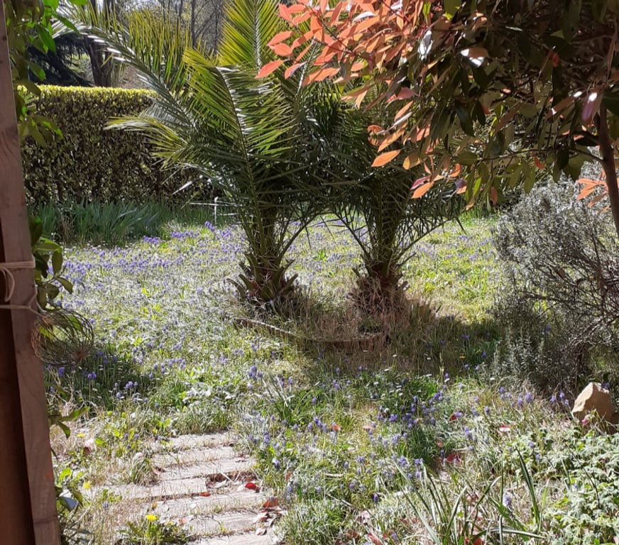 Location appartement Rhône Ste Foy les Lyon - 69110 - Photos Vivastreet T2 45m2 avec jardin 126 m2,garage,dans parc,tennis,volley,