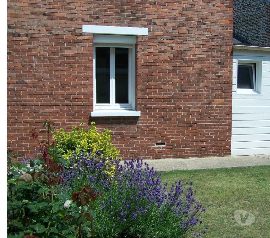 Location appartement Seine-Maritime Dieppe - Photos Vivastreet Beau F2 Rez Chaussée 70 m2 (près du Port plaisance)