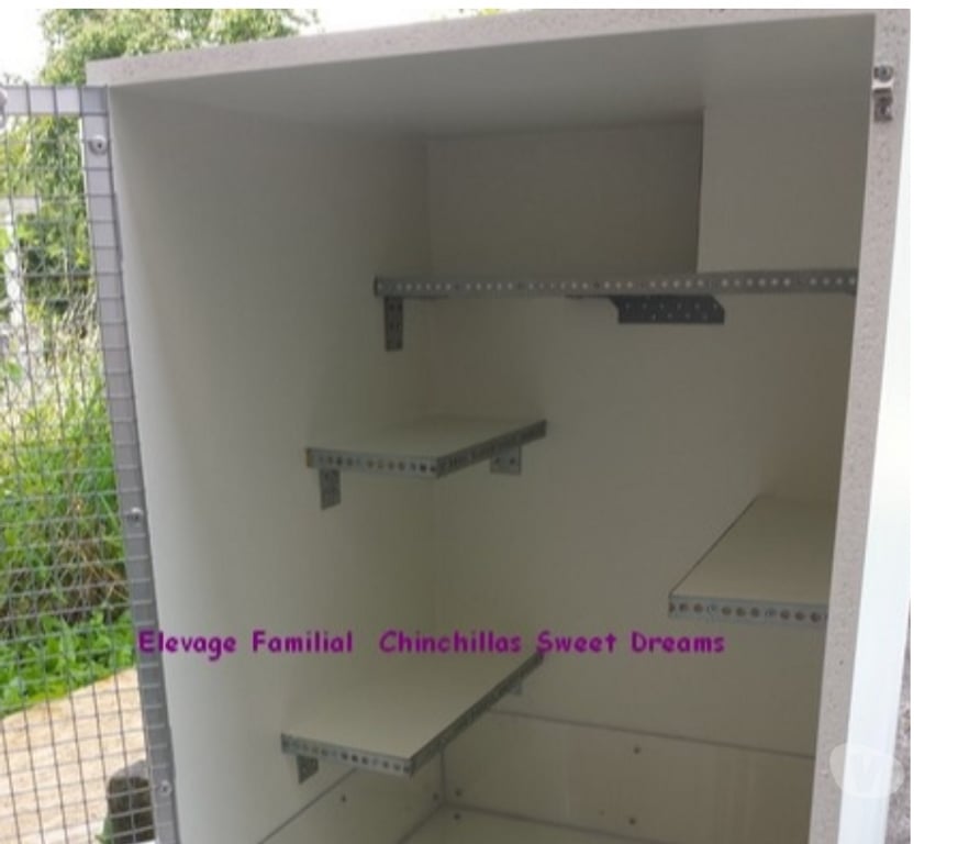 Services, accessoires animaux Meurthe-et-Moselle Longwy - 54400 - Photos Vivastreet Cage chinchilla neuve sur mesure fabrication de notre éleva