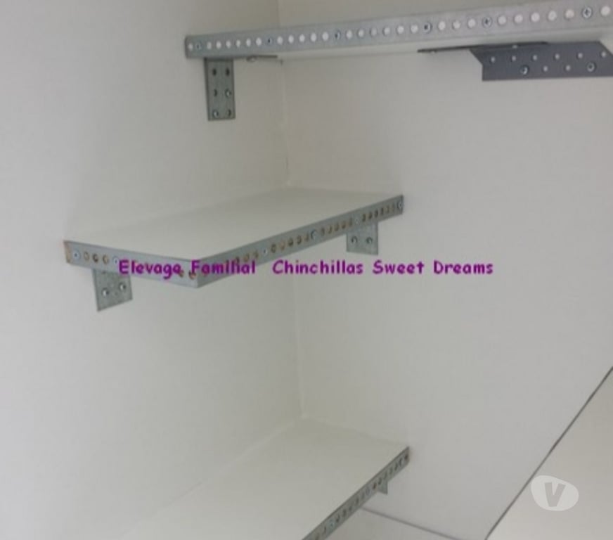 Services, accessoires animaux Meurthe-et-Moselle Longwy - 54400 - Photos Vivastreet Cage chinchilla neuve sur mesure fabrication de notre éleva
