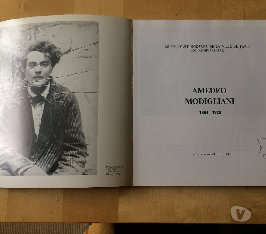 Livres occasion Vendée Grosbreuil - 85440 - Photos Vivastreet Catalogue Expo Modigliani, Musée d'Art Moderne Paris 1981