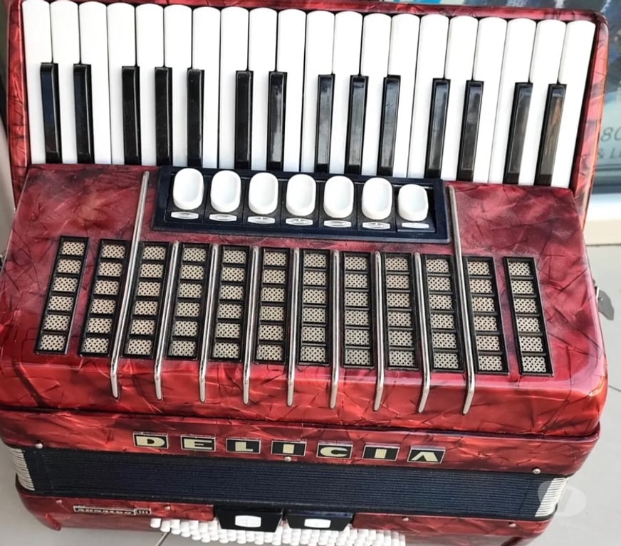 Instruments de musique Bas-Rhin Mommenheim - 67670 - Photos Vivastreet DELICIA Arnoldo III - accordéon piano 72 b+7reg+2reg