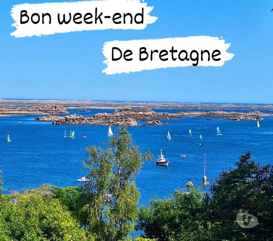 location saisonniere Côtes-d'Armor Binic - 22520 - Photos Vivastreet Gîte bord de mer 2 personnes