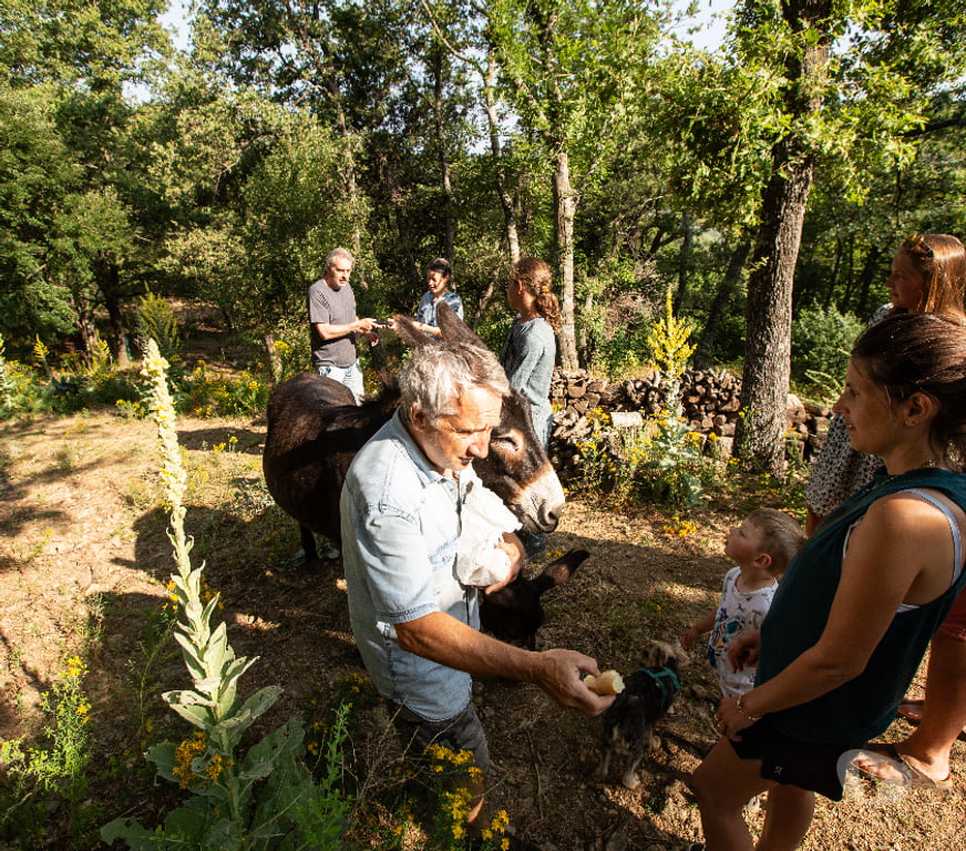 location saisonniere Haute-Corse Costa - 20226 - Photos Vivastreet location en balagne avec piscine