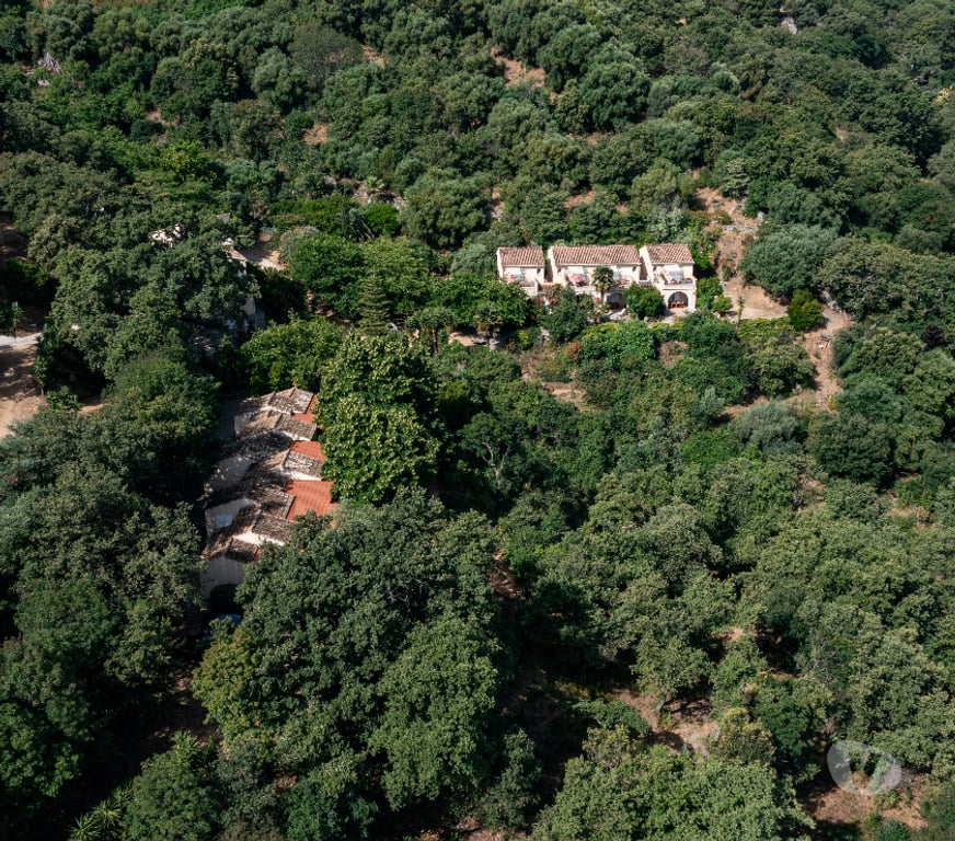 location saisonniere Haute-Corse Costa - 20226 - Photos Vivastreet location en balagne avec piscine